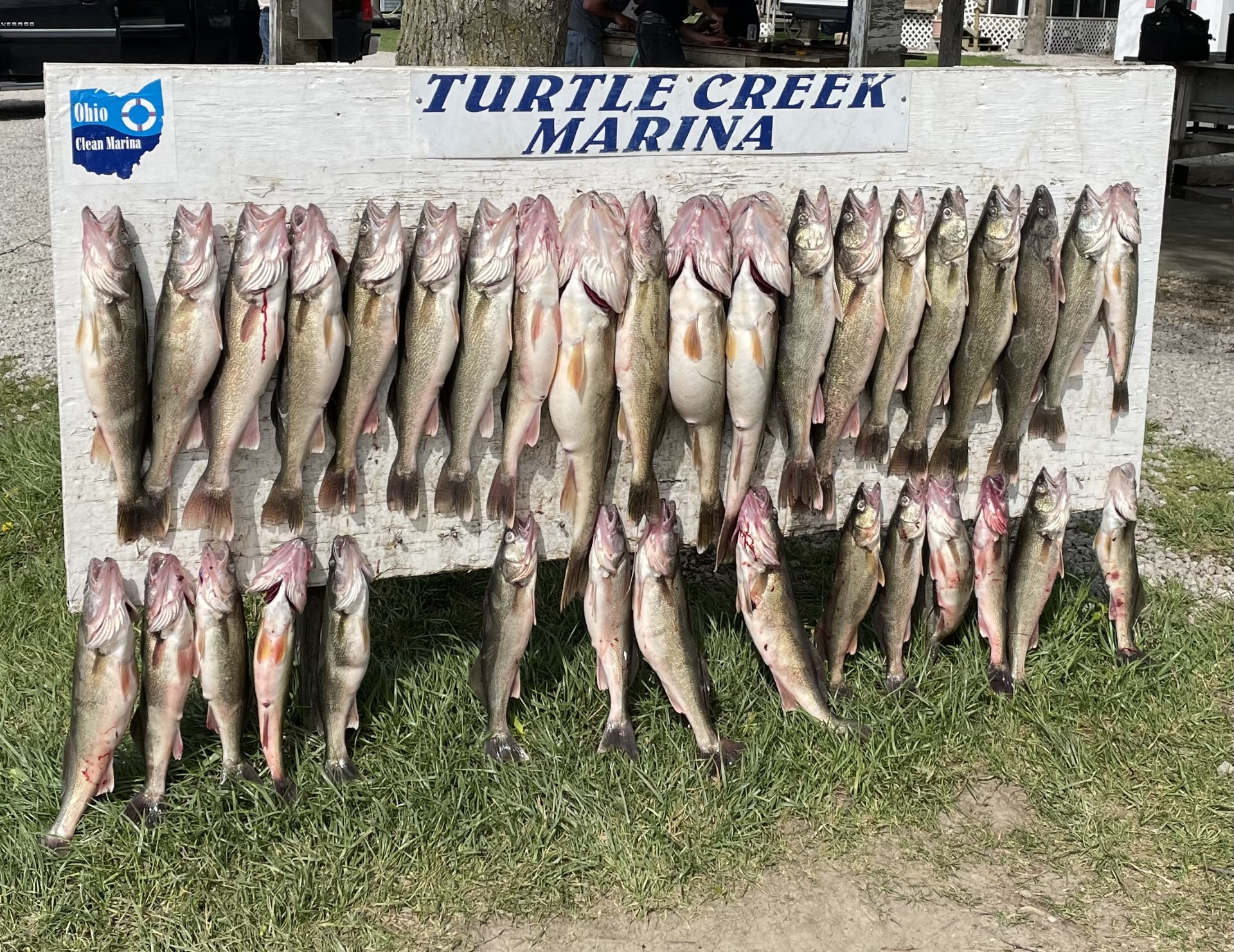 2023 Walleye Trip